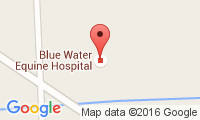 Blue Water Equine Hospital Location