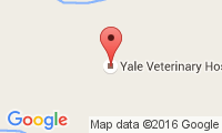 Yale Veterinary Hospital Location