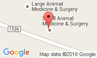 Small Animal Medicine & Surgery Location