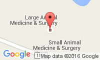 Large Animal Medicine & Surgery Location