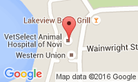 Vetselect Animal Hospital Of Novi Location