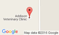 Addison Veterinary Clinic Location