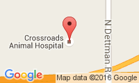 Crossroads Animal Hospital Location