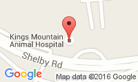 Kings Mountain Animal Hospital Location