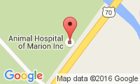Animal Hospital Of Marion Location