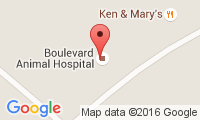 Boulevard Animal Hospital Location