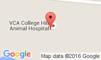 College Hill Pet Clinic Location