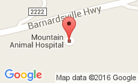 Mountain Animal Hospital Location