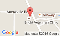 Bright Veterinary Clinic Location