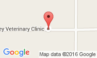Surrey Veterinary Clinic Location