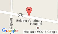 Belding Veterinary Hospital Location