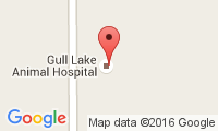 Gull Lake Animal Hospital Location