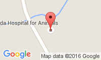 Ada Hospital For Animals Location