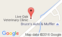 Live Oak Veterinary Clinic Location