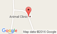 The Animal Clinic Location