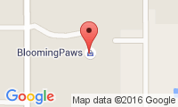 Canine Companions Location