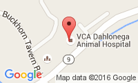 Dahlonega Veterinary Hospital Location
