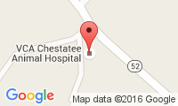 Chestatee Animal Hospital Location