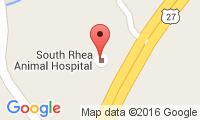 South Rhea Animal Hospital Location