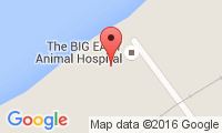 Big Easy Animal Hospital Location