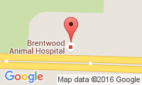 Brentwood Animal Hospital Location
