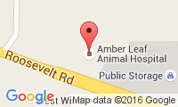 Amber Leaf Animal Hospital Location