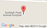 Burleigh Road Animal Hospital Location