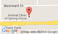 Animal Clinic Of Spring Grove Location