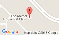Animal House Pet Clinic Location