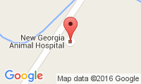 New Georgia Animal Hospital Location