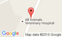 All Animals Vet Clinic Location