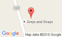Greys & Strays Location