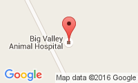Big Valley Animal Hospital Location