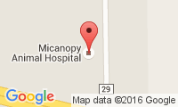 Micanopy Animal Hospital Location