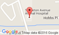 Singleton Avenue Animal Hospital Location