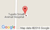 Tupelo Small Animal Hospital Location