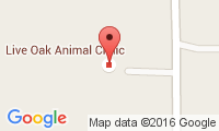 Live Oak Animal Clinic Location