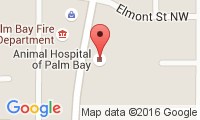 Animal Hospital Of Palm Bay Location