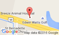Animal Hospital Of Panama Beach Location