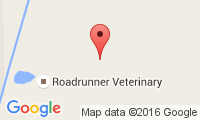 Roadrunner Vet Clinic Location