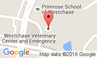 West Chase Veterinary Center Location
