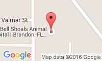 Bell Shoals Animal Hospital Location