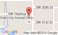 Palm City Animal Clinic Location