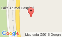 Lake Animal Hospital Location