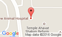 Curlew Animal Hospital Location