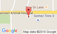 Eastown Animal Hospital Location