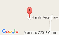 Hamlin Veterinary Clinic Location