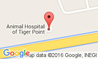 Animal Hospital Of Pensacola Location