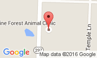Pine Forest Animal Clinic Location