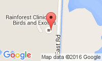Rainforest Clinic For Birds And Exotics Location